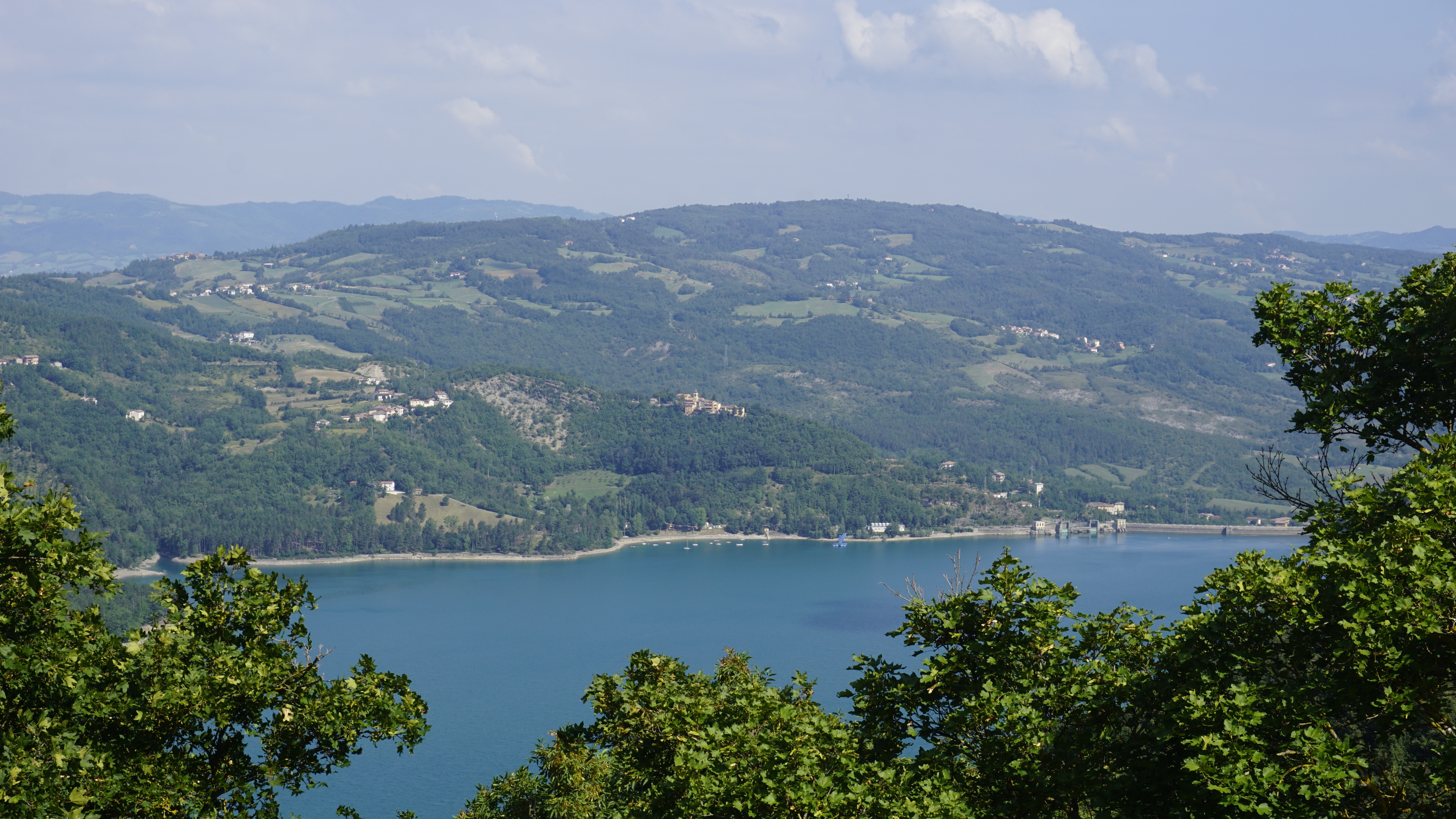 _DSC0253
