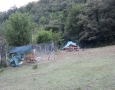 imgi7855