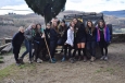 falgano2016_008