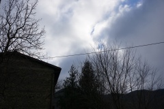 DSC04360