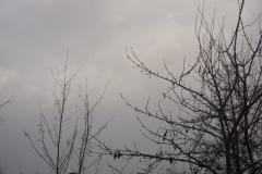 DSC05102