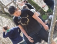 dscn2077