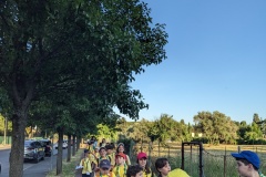 PXL_20240614_175135499