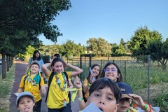 PXL_20240614_175145330