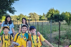 PXL_20240614_175148501