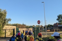 PXL_20240614_175436477