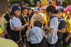 PXL_20240615_093827567