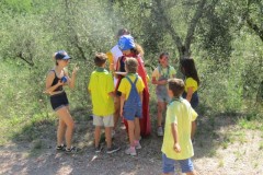 IMG_3375-Copia