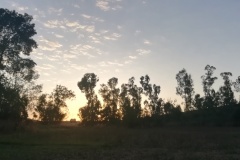 IMG_20190806_200441
