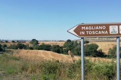 IMG_20190807_094648
