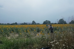 IMG_20190808_144804