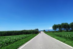 IMG_20230806_131124