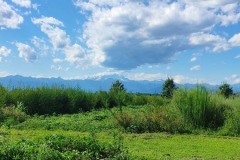 IMG_20230806_162501