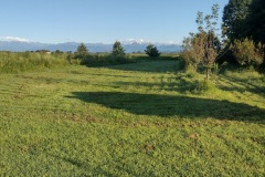 IMG_20230807_074022953_HDR