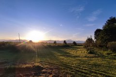 IMG_20230807_201711