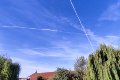 IMG_20230809_081558