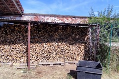 IMG_20230810_111153