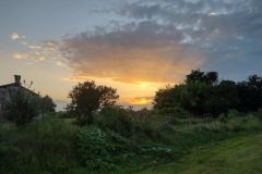 IMG_20230810_203106354_HDR