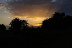 IMG_20230810_203121861_HDR