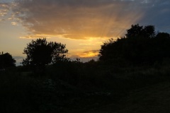 IMG_20230810_203128434_HDR