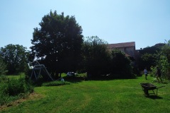 IMG_20230811_111107