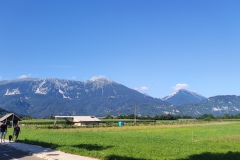 IMG_20240806_172532