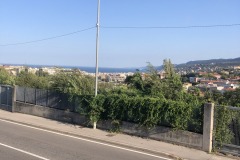 IMG_2553