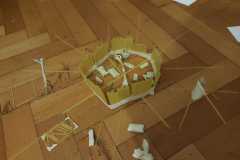 IMG-20230107-WA0008