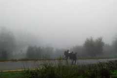 IMG-20230107-WA0024