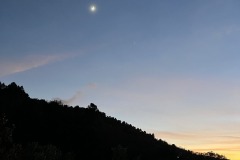 IMG_4222