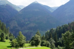 DSC00350