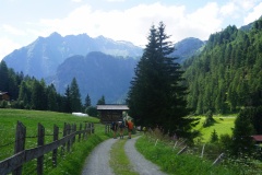 DSC00661