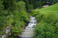 DSC00670