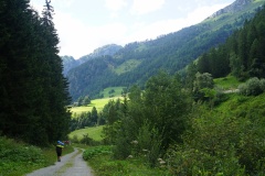 DSC00676
