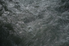 DSC00679