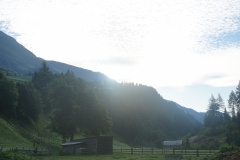 DSC00700