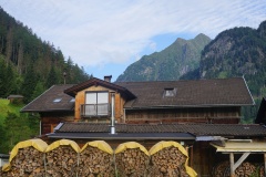 DSC00703