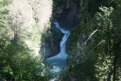 DSC00708