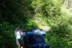 DSC00709