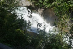 DSC00780