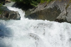 DSC00781