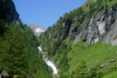 DSC00786
