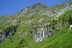DSC00793