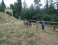 Exif_JPEG_PICTURE